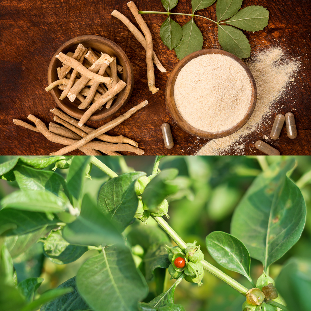 Ashwagandha