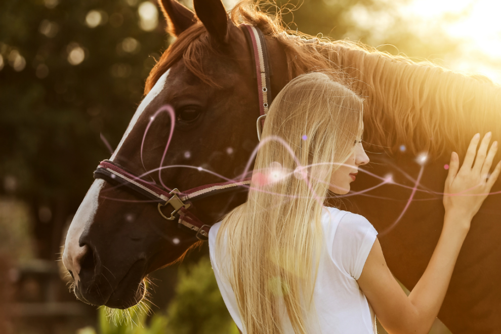 comunicazione con gli animali